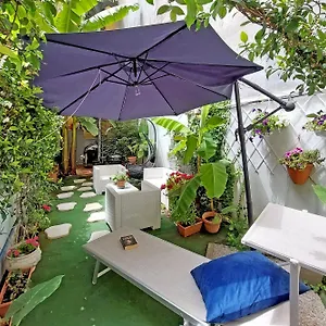 Apartment Luxury Domus