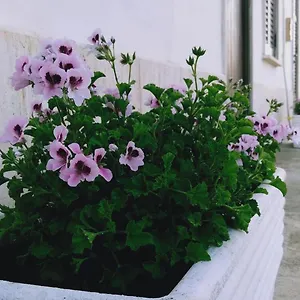 Casa Maria Bartolomeo Casa vacanze Marsala